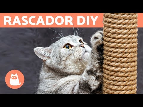 Rascador para gatos casero - Manualidades para mascotas