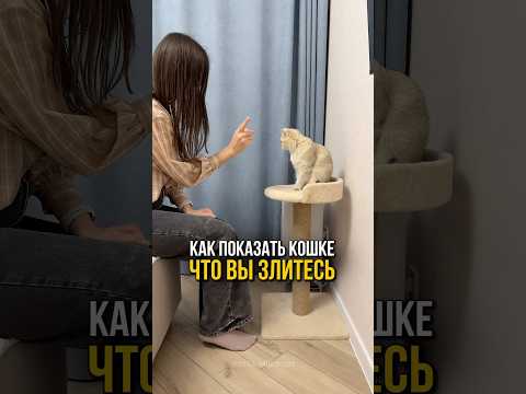 Как показать кошке что вы злитесь на её языке?😤🐈