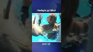 لحظة غير متوقعة!..هجوم مفاجئ من الدلافين على ريهام سعيد