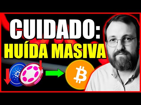 Criptonoticias 👉 Cardano y Polkadot VENDEN para Comprar BITCOIN!? 🚨 Ballenas Acumulan 3 Altcoins!! 🐳
