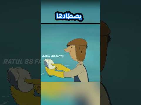 الرجل اصطاد كل السمك #قصص #سبايدرمان #اكسبلور #كرتوناطفال #cartoon #كيدز #قصة #anime #animation
