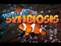 Types of Symbiotic Relationships