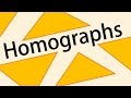 Exploring Homographs Through Parody
