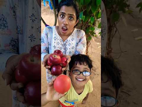Tom & Jerry (Rithvi and Family) Real End Twist 😂🎈 #shorts