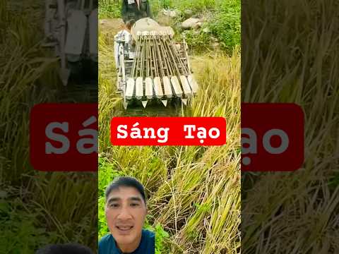 Máy Cắt Lúa Sáng tạo quá.#nhàvườn #máycắtLúa