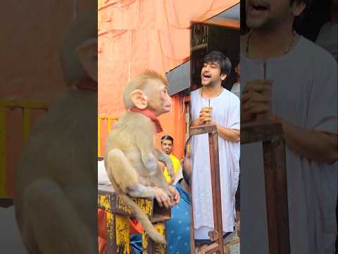 बालाजी ने दी सजा बंदर के रूप में #bageshwardham #shortfeedviral #trendingshorts #live #shortsvideos