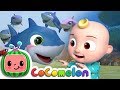 Baby Shark Family Dynamics