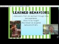 Exploring Inherited Traits and Learned Behaviors