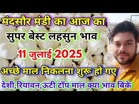 लहसुन की सुपर टॉप क्वालिटी का आज का भाव | Aaj Ka Lahsun Ka Bhav | Best Quality Garlic Prices 