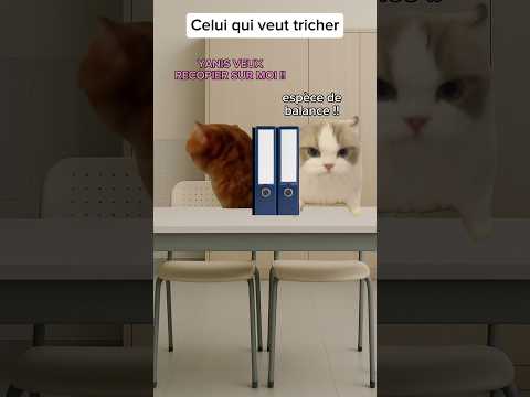 POV: Les différents types d’élèves pendant un contrôle #humour #drole #pov #sketch #catmemes