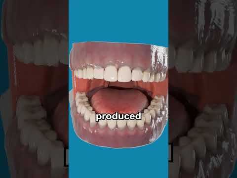 Why You Get Morning Breath 😱