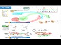 Basic Arithmetic and Algebra Concepts