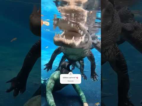 El nuevo animal m谩s peligroso del mundo 馃槰