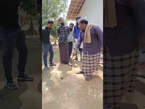 കുരിക്കൾ കിണറിന്ന് സ്ഥാനം നോക്കി പറ്റിച്ചു വല്ലാത്ത ജാതി 😂😂ചുമ്മാ ഒരു രസം #comedy#shorts#bakkarmolla
