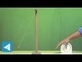 Pendulum Motion and Time Periods