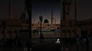 في يوم مولد النبي صلى الله عليه وسلم تذكرو !!!