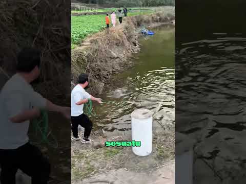 Melempar Jala Di Sarang Ular 😨