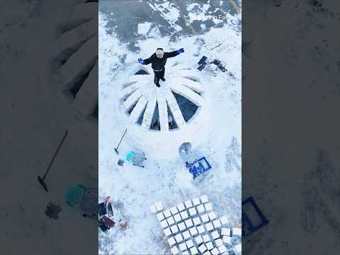 House Of Ice #shortsvideo