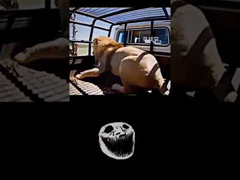 Trollface Tiktoks ? #trollface #troll #tiktok #sigma