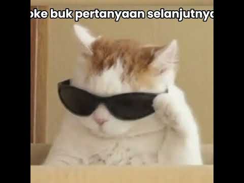 Kata paling lucu nih coba tebak apa yng di jawab ini ๐๐๐#ariaji_2 #kucing #riel #funny #shortvideo