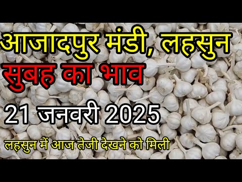 आजादपुर मंडी आज का लहसुन का भाव | Aaj Ka Lahsun Ka Bhav Today | Lahsun Ka Bhav | Today Garlic Price