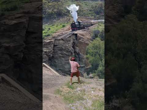 Stop The Train #pairoatedit #train