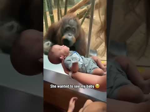 She loves the baby ❤️ #viralvideos #animals #trending