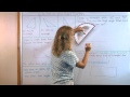 Understanding Triangle Types and Properties