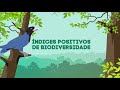 Brazil's Biodiversity and Forest Sector