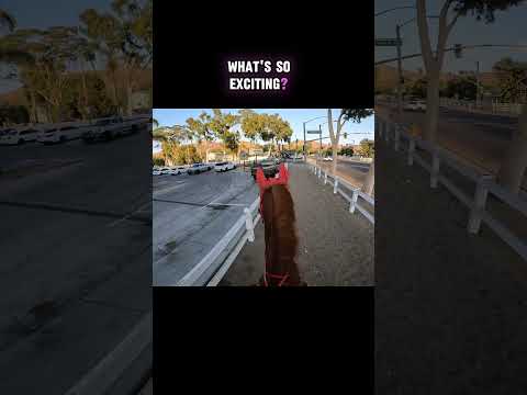 Riding around my town of Norco ca ❤️ tried to get tacos but we had a little issue