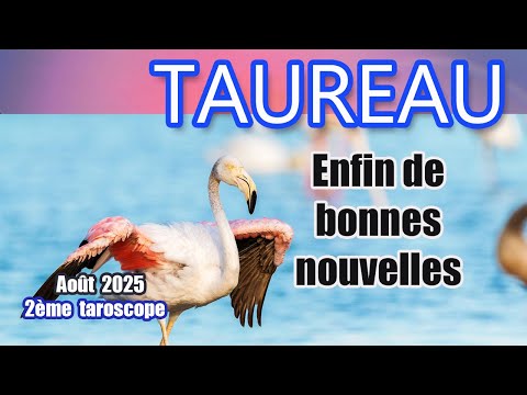 TAUREAU AOÛT 2025 : C'est un grand OUI !!