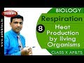 Respiration and Heat Production Concepts