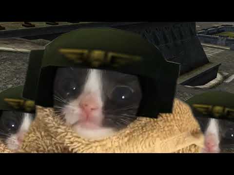 вперед собаки