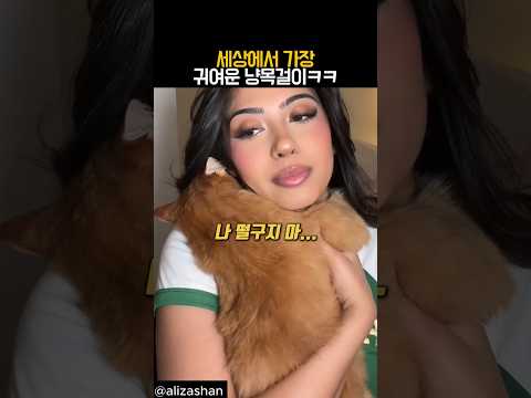 세상에서 가장 귀여운 냥목걸이 #동물 #고양이