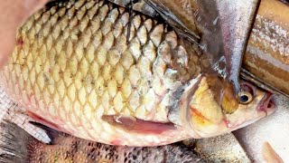 Top 5 Fishing Mistakes That Are KILLING Your Catch Rate