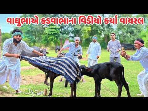 વાઘુભાએ કડવાભાના વિડીયો કર્યા વાયરલ // Gujarati Comedy Video // કોમેડી વિડિયો // Funny Desi Boys