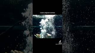 Polaroid is048 sample footage #digicam #2000s #y2k