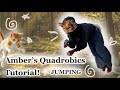 Understanding the Video Tutorial