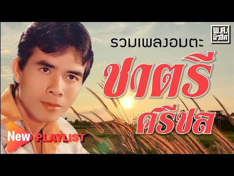 รวมฮิตเพลงดัง 31 | ชาตรี ศรีชล #เมาเหล้าเมารัก #หลังคาแดง #ซมซาน #ตำราดื่มเหล้า #ดังซะอย่าง