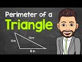 Understanding Perimeter of Triangles