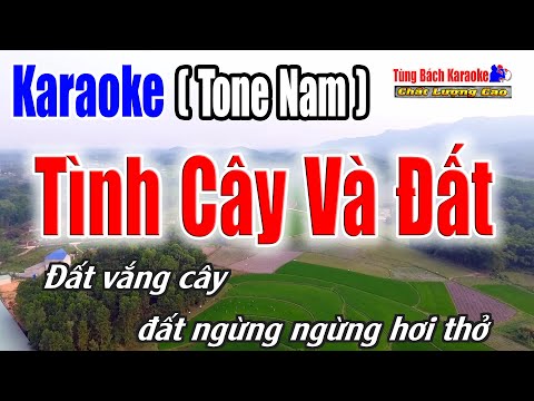 Tình Cây Và Đất || Karaoke Tone Nam [ Nhạc Sống Tùng Bách ]