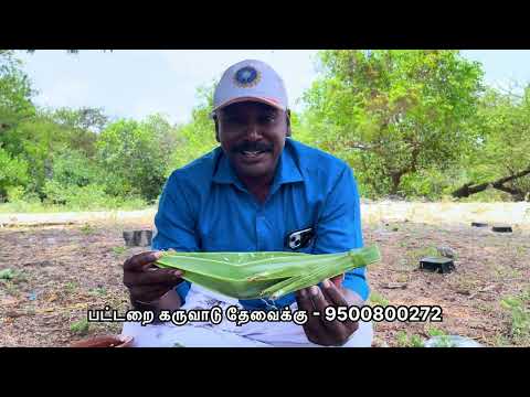 பனை ஓலை பழைய கஞ்சி எப்படி இருக்கு? https://wa.me/c/919500800272 #pattarai #karuvadu #kanji #pazhaya