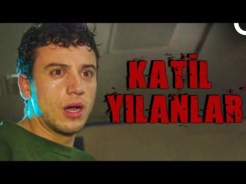 Katil Yılanlar | Full HD Aksiyon Filmi İzle