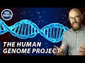 DNA and Genetics Concepts