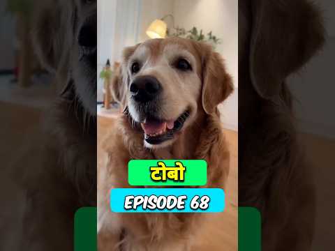 ? मम्मा बनी रेल गाड़ी ??? #short #tobo