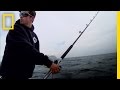 Fishing Narrator's Dilemma and Strategies