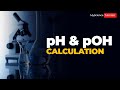 Understanding pH and Ion Concentrations