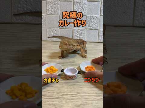 究極のカレー作り　右左どっち？