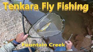 Fly Fishing a dirty loaded with Fish Creek #flyfishing #Tenkara #keiryu #fishing #nature #trout