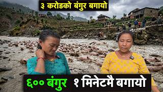 दिदि बहिनिको आखै अगाडी  ३ करोडको बंगुरफाम यसरी बगयॊ  !!  Tuki Nepal !!